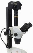 Image result for Olympua DSLR Camera to a Microscope Adapter