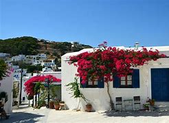 Image result for Greek Island of Paros