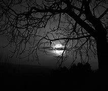 Image result for Dark Depressing Landscapes