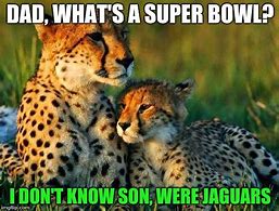 Image result for Jaguar Surprised Meme