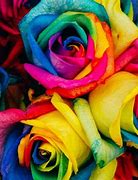 Image result for Dark Gothic Rose