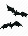 Image result for Halloween Bats