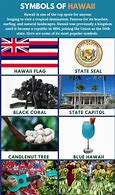 Image result for Hawaiian Astrological Signs