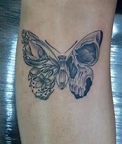 Image result for Butterfly Skull Tattoo Designs