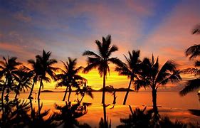 Image result for Fiji Beach Sunset