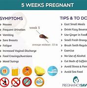 Image result for 5 Weeks and 2 Days Pregnant
