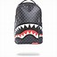 Image result for Sprayground Limited Edition