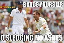 Image result for Hood Cricket Meme