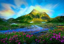 Image result for Nature Wallpaper High Resolution