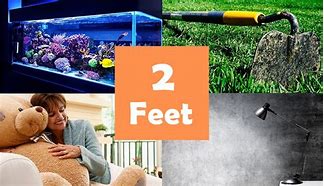 Image result for 2 Meters in Feet