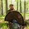 Image result for Turkey Hunting Is Coming