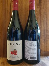 Image result for Turchi Pinot Noir Camp 1