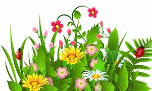 Image result for Beautiful Flower Clip Art