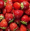 Image result for Types of Edible Berries