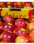 Image result for Ariane Apple