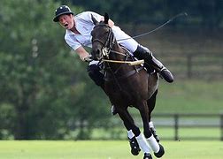 Image result for Prince Harry Shirt Up Polo