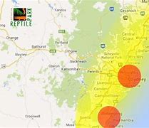 Image result for Sydney Funnel Web Spider Map