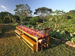 Image result for Farm-To-Table
