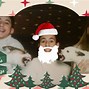 Image result for Funny Dog Merry Christmas Cards
