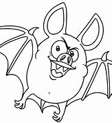 Image result for Pet Vampire Bat