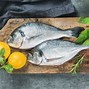 Image result for Biggest Edible Fish