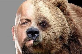 Image result for Grizzly Bear Spirit Animal