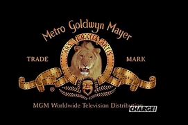 Image result for MGM Worldwide Television Distribution