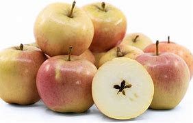 Image result for Allington Pippin Apple