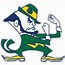 Image result for Notre Dame Fighting Irish Under Armour Wallpaper