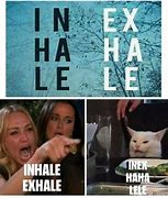 Image result for women screaming at cats memes