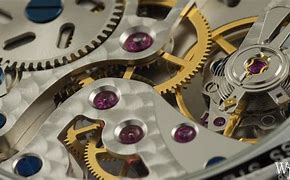 Image result for Watch Movement Macro Image