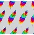 Image result for Bright Feathers
