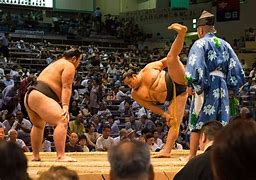 Image result for What Is an Oshi in Sumo Wrestling