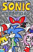 Image result for Sonic Evoution