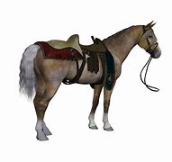 Image result for Medieval Horse Breeds