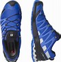 Image result for Salomon Xa Pro 3D GTX Trail Running Shoes