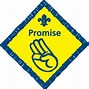 Image result for Scout Guide Uniform