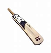 Image result for Cricket Bat Animated with Green Background
