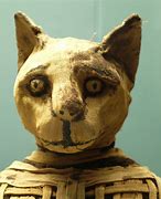 Image result for Mummified Cats Egypt