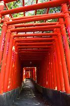 Image result for Fukutoku Inari Jinja Shrine