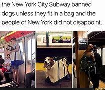 Image result for New York Funny Memes