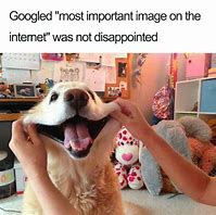 Image result for Dog Meme Image