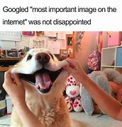 Image result for Happy Dog Meme