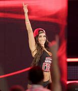 Image result for Nikki Bella in WWE