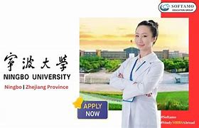 Image result for Ningbo University Logo