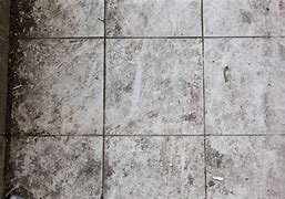 Image result for Steamless Dirty White Tile Floor Texture