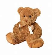 Image result for Fuzzy Teddy Bear