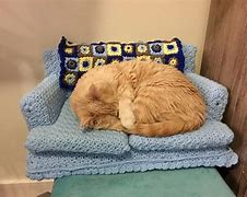 Image result for Nikocado Couch Cat