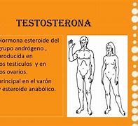 Image result for Testosterona Que ES