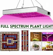 Image result for LED Grow Light Market